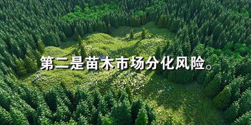 苗木产业复苏曙光初现，深层风险犹存待解